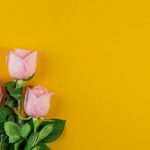 flores rosas con amarillo